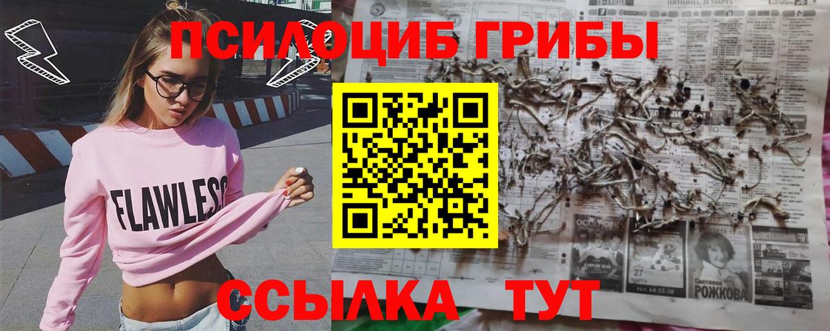 Ревда  Псилоцибиновые грибы Cubensis  Псилоцибиновые грибы мухоморы  где продают наркотики  Вход с VPN 